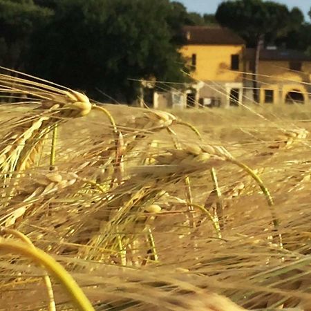 Appartamento Podere La Grande Quercia Rosignano Marittimo Esterno foto