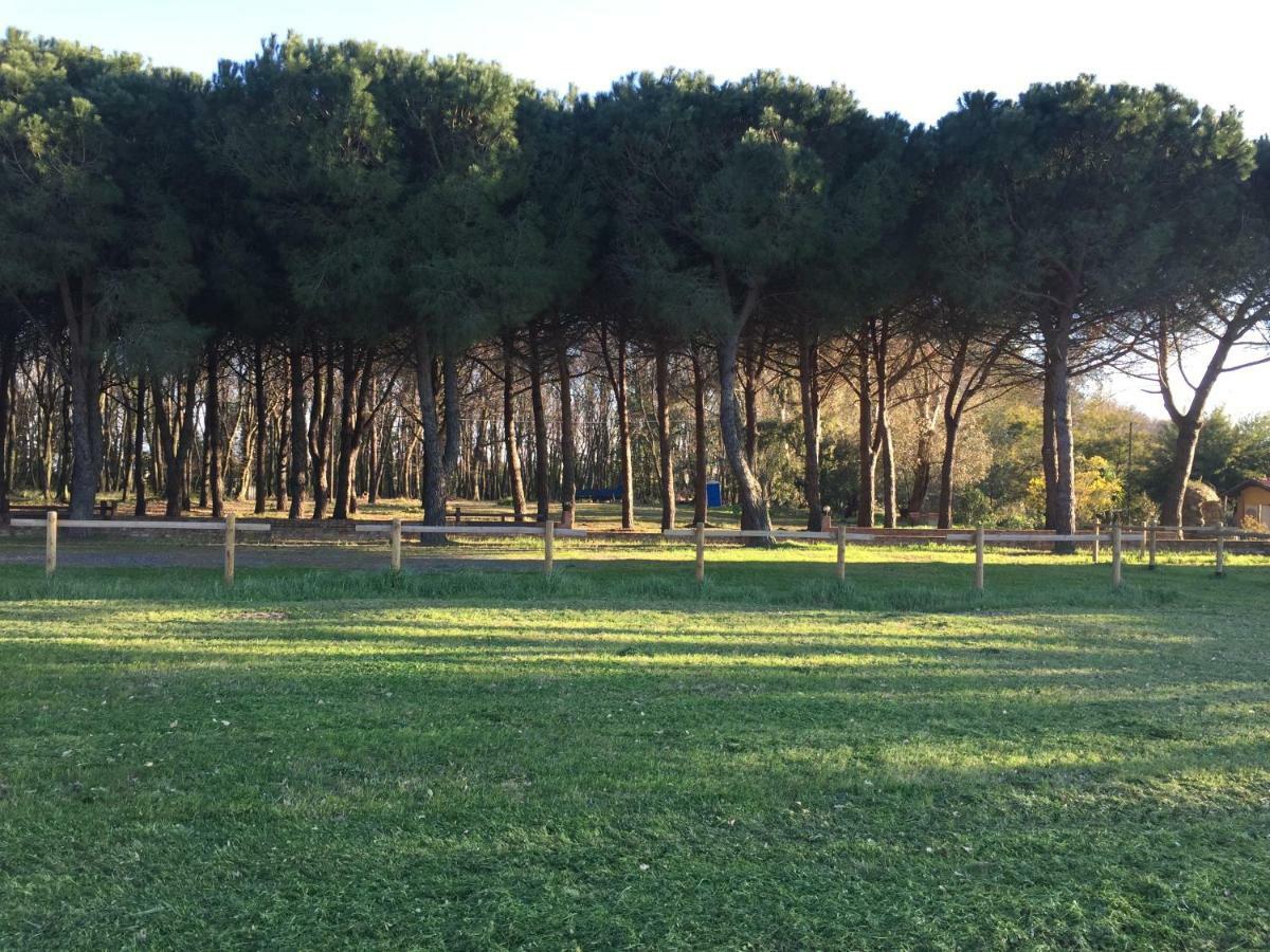 Appartamento Podere La Grande Quercia Rosignano Marittimo Esterno foto