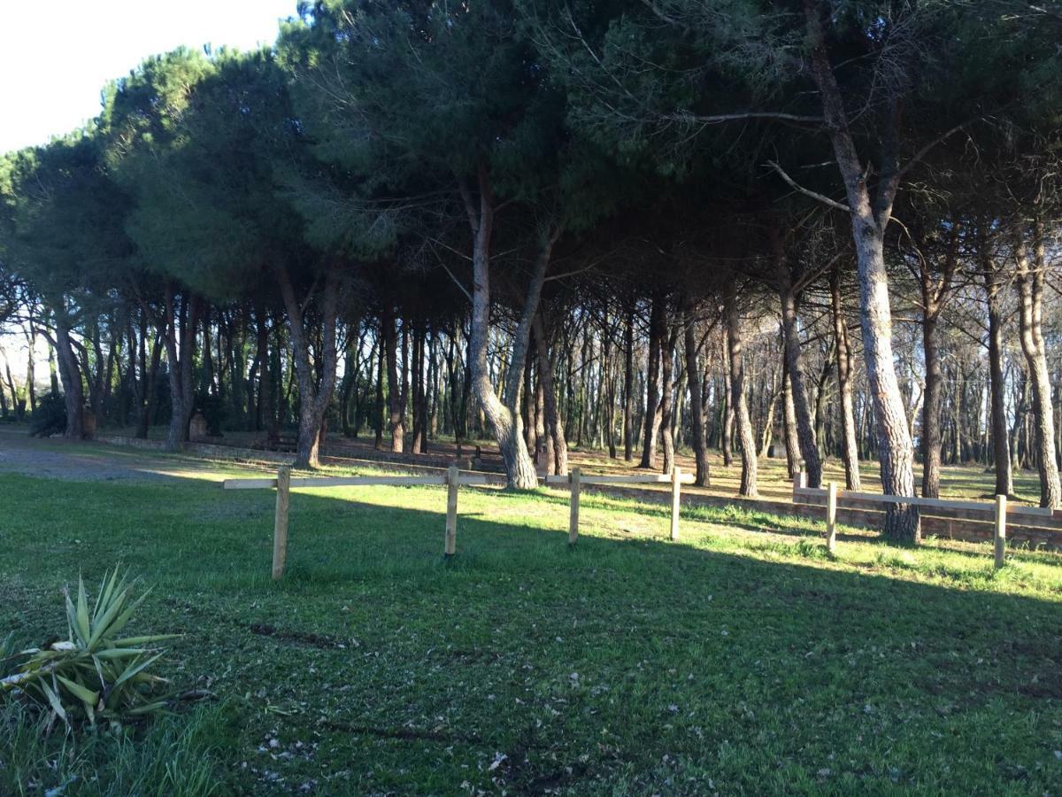 Appartamento Podere La Grande Quercia Rosignano Marittimo Esterno foto