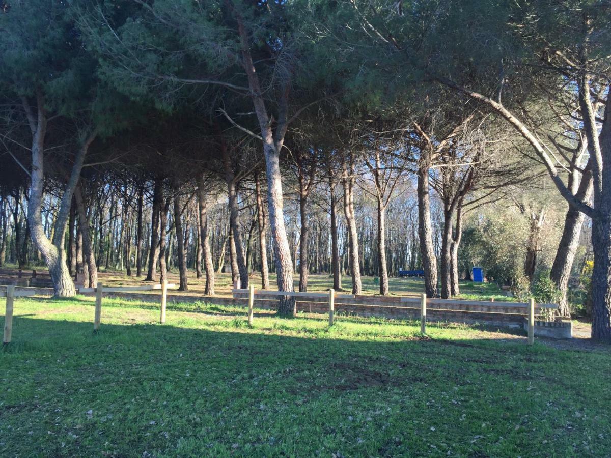 Appartamento Podere La Grande Quercia Rosignano Marittimo Esterno foto