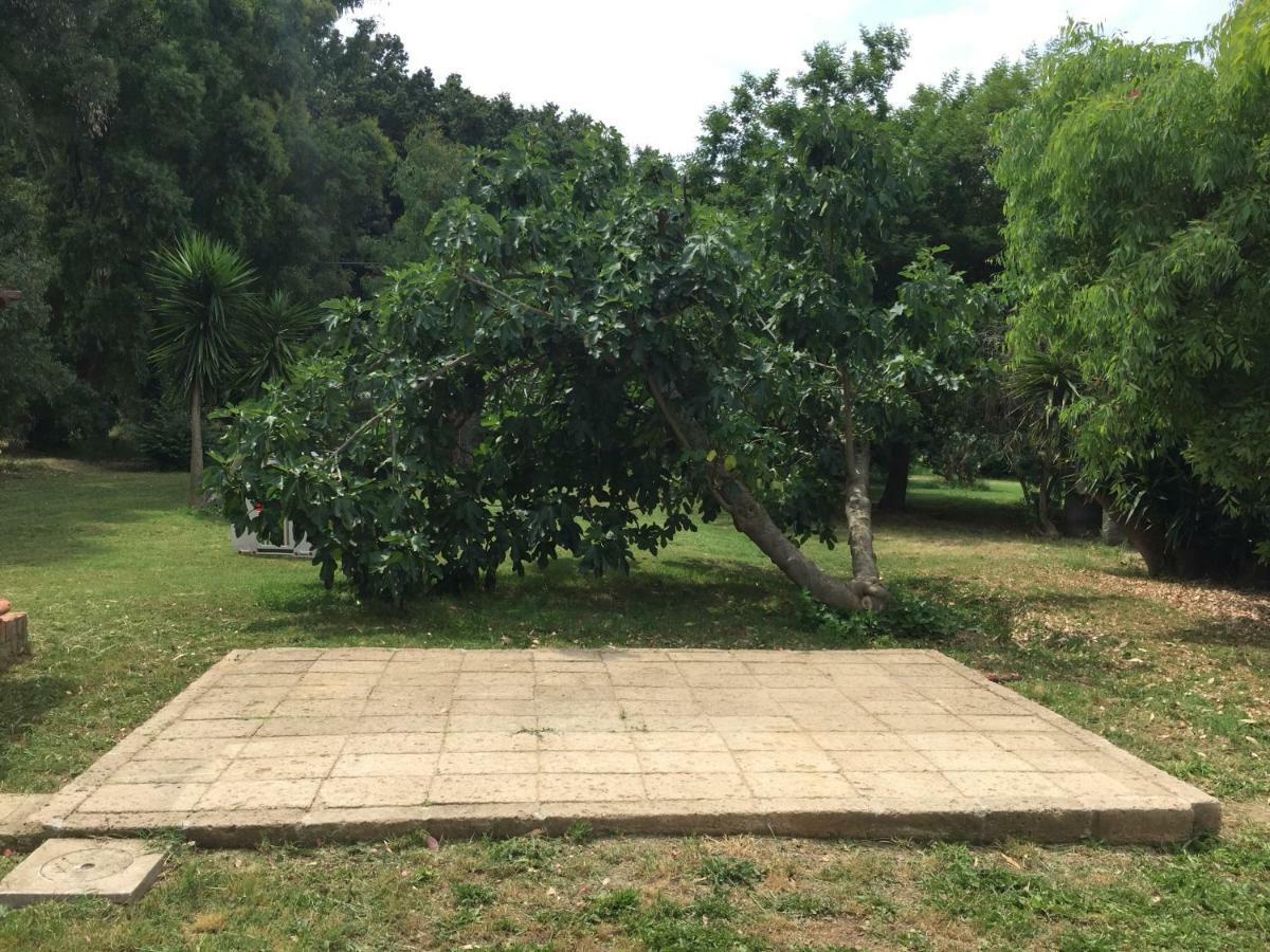 Appartamento Podere La Grande Quercia Rosignano Marittimo Esterno foto